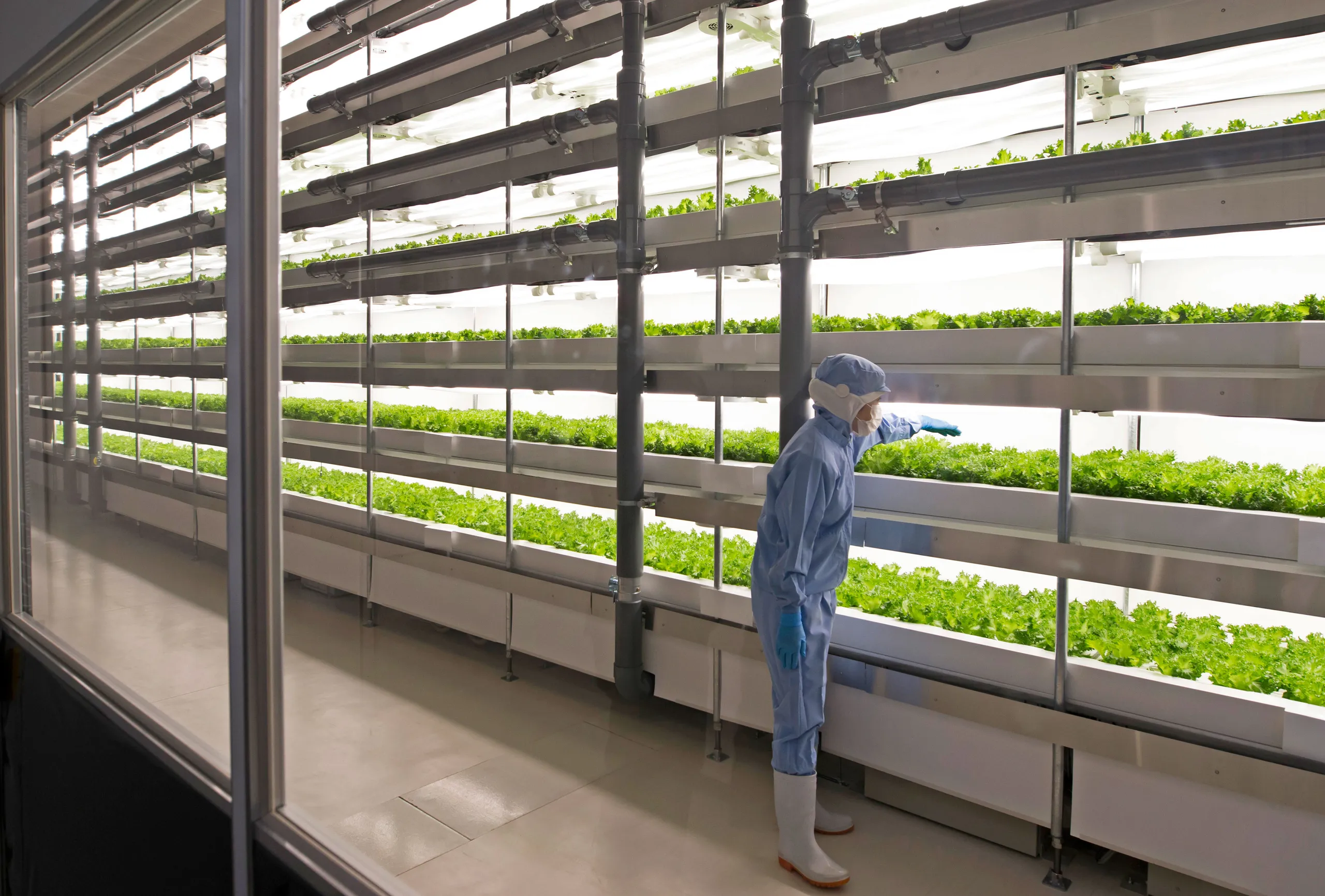 Feeding the Future: Vertical Farming and Food Security