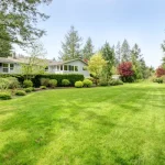 Residential Bliss: Lawn Cutting and Maintenance in Bear, DE