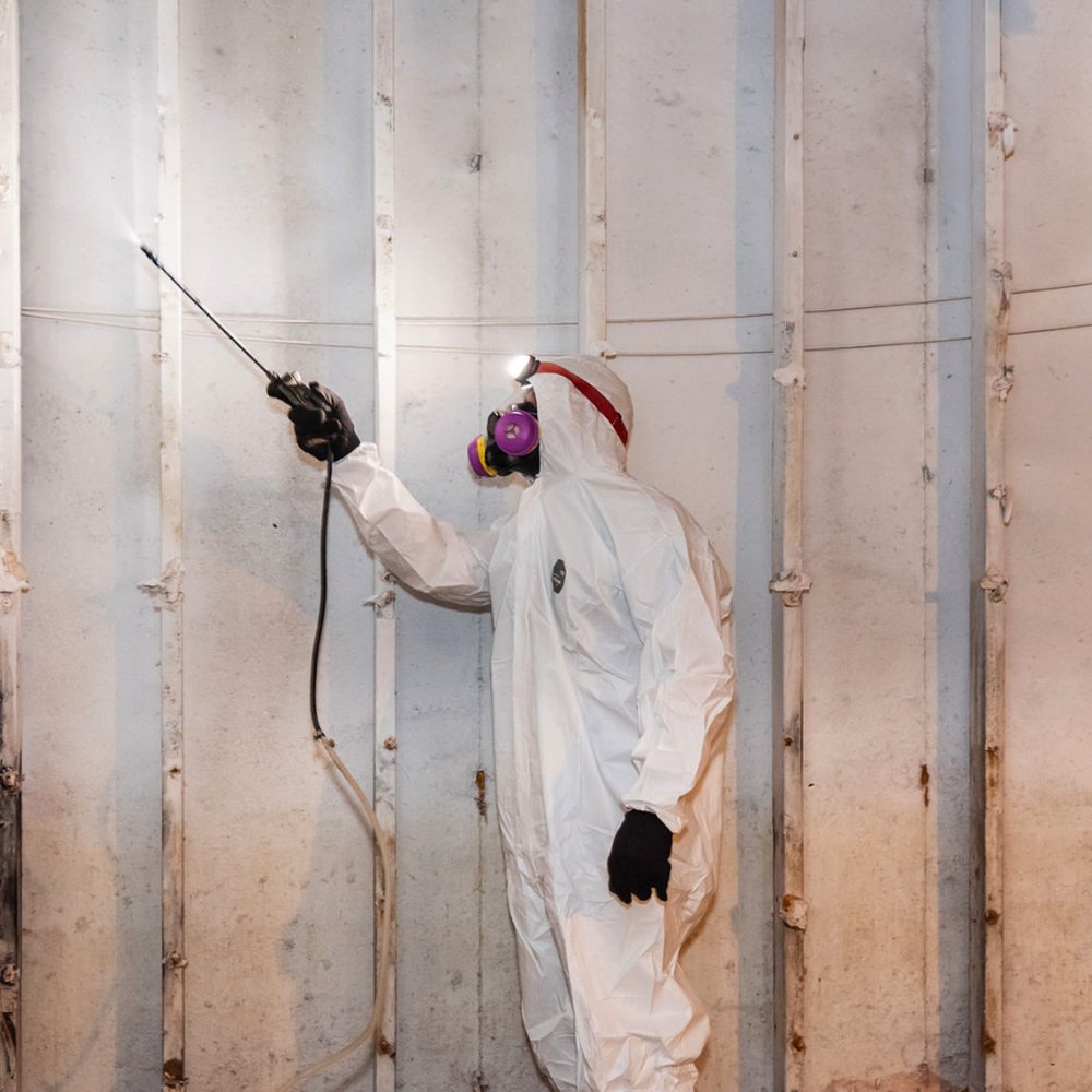 Breathe Easy with Top-Tier Mold Remediation in Indianapolis